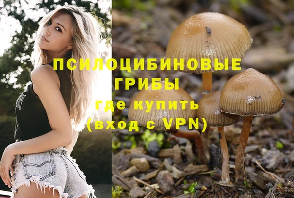 твердый Алексеевка