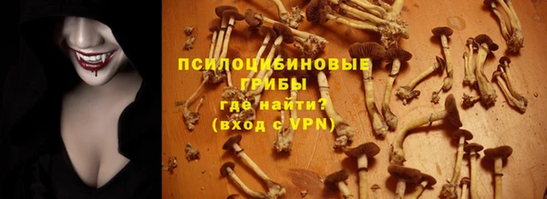 твердый Алексеевка