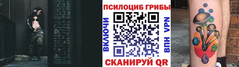 Галлюциногенные грибы MAGIC MUSHROOMS  где купить наркоту  Орехово-Зуево 